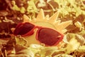 Sun summer sunglasses yellow concept,  glasses toy Royalty Free Stock Photo