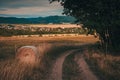 Sun Sunshine In Sunset Bright Sky. Beautiful Evening Sky Above Rural Landscape With Country Road. Young Green Wheat Field Meadow Royalty Free Stock Photo