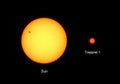 Sun and Trappist 1 comparison Royalty Free Stock Photo