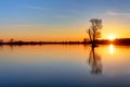 Sun and tree in lake Royalty Free Stock Photo