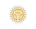 Sun Tree Logo Icon Design Royalty Free Stock Photo