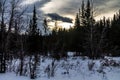 Waiprous creek in winter, Waiprous Provincial Recreation Area, Alberta, Canada