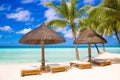 Sun umbrellas and beach beds under the palm trees on tropical be Royalty Free Stock Photo