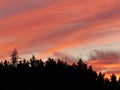 Sun Valley California Pink Orange Sunset