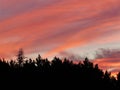 Sun Valley California Pink Orange Sunset