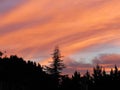 Sun Valley California Pink Orange Sunset