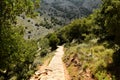 Sun valley of Greece. Lassithi Plateau on island of Crete, Greece. Road in the countryside