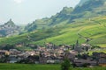 Sun on vineyards: Switzerland