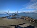 The Sun Voyager sculpture in Reykjavik Iceland