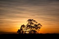 The sun was setting behind a big tree near the guarapiranga dam. Royalty Free Stock Photo