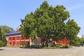 Sun yat sen memorial hall, guangzhou, china Royalty Free Stock Photo