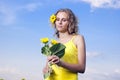 Sun young girl in the field with sunflowers Royalty Free Stock Photo