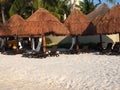 Sunbath places under umbrella and palm trees on exotic sandy beach in Cancun city in Mexico on March Royalty Free Stock Photo