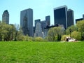 Sunbathing in central park Royalty Free Stock Photo