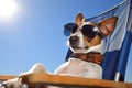 Smiling Jack Russell Relaxing with Sunglasses on Lounge Chair. Generative AI Royalty Free Stock Photo