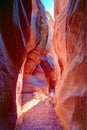 Sunbeam at the bottom of the canyon. Narrow slot canyon Wire Pass leading into Buckskin Gulch, Paria Canyon-Vermilion Cliffs Wilde Royalty Free Stock Photo