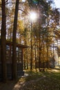 A sunbeam breaking through the foliage of trees, in an old park, on a bright autumn day