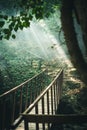 Sunbeam and bridge view in Ida Mountain Kaz Daglari National Park. Green habitat. Edremit, Balikesir, Turkey