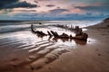 The Sunbeam ship wreck on the Rossbeigh beach at sunset, Ireland