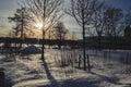 Sunbeam throgh tree and shadow on the snow with a nice snowscape Royalty Free Stock Photo