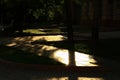 Sunbeams beautifully illuminate the dark shady garden and granite paths on an early summer morning.