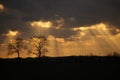 Sunbeams breaking through a dark sky.