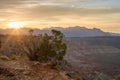 Sunbeams creep over the horizon of Zion National park in Southern Utah and shine on a juniper tree on the rim of Smith`s mesa. Royalty Free Stock Photo