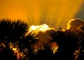 Sunbeams extend out of clouds during sunset in Ft. Pierce, Florida with silhouette of palm trees framing photo Royalty Free Stock Photo