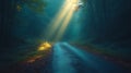 Sunbeams illuminate misty forest road Royalty Free Stock Photo