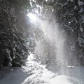 Sunbeams lighten falling snow