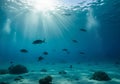 Sunbeams penetrate the ocean surface, illuminating the underwater scene with a soft, diffused Royalty Free Stock Photo