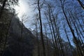 Sunbeams pours through peaks of Alps and tall conifer trees near of Lake Kloental