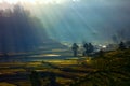 Sunbeams with rural scenery Royalty Free Stock Photo