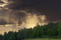 Sunbeams streaming through low dramatic clouds, highlighting the forest. Royalty Free Stock Photo