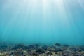 Sunbeams underwater rocks and pebbles on the seabed swimming fish Royalty Free Stock Photo