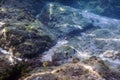 Sunbeams underwater rocks and pebbles on the seabed swimming fish Royalty Free Stock Photo