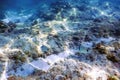 Sunbeams underwater rocks and pebbles on the seabed swimming fish Royalty Free Stock Photo