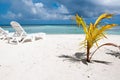 Sunbed at tropical beach, Maldives