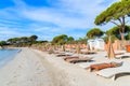 Sunbeds on beachSunbeds on sandy Palombaggia beach, Corsica island, France