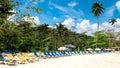 Palm trees and sun beds under pastel colored umbrella on caribbean beach Royalty Free Stock Photo