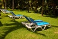 Sunbeds on green grass waiting for tourists. View at luxury resort hotel of tropical coast. Shadows from leaves of