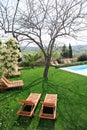 Sunbeds next to a swimming pool in garden