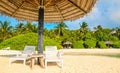 Sunbeds and palm tree umbrellas on a background of exotic palm trees, Maldives Royalty Free Stock Photo