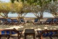 Sunbeds in row in the shadow of trees on seclude tropical sandy beach Royalty Free Stock Photo