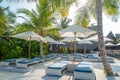 Sunbeds and umbrellas near beach at the tropical island Royalty Free Stock Photo