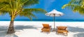 Sunbeds under tropical palm tree leaves on beach. Luxury couple destination, happy relax beach scenic, horizon, seascape blue sky Royalty Free Stock Photo