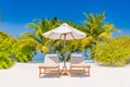 Sunbeds under tropical palm tree leaves on beach. Luxury couple destination, happy relax beach scenic, resort hotel Royalty Free Stock Photo