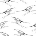 Sunbird vector seamless pattern, bird family Nectariniidae of passerine birds Royalty Free Stock Photo