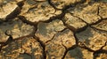 Sunbleached cracks run deep into the parched desert soil creating an intricate weblike pattern