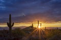 Sunburst Behind A Saguaro Cactus At Sunrise Time In Arizona Royalty Free Stock Photo